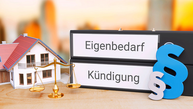BILD MQ-ILLUSTRATIONS – STOCK.ADOBE.COM